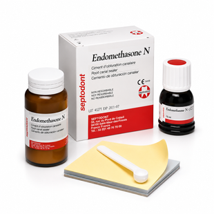 Матеріал для пломбування кореневих каналів Endomethasone N (Ендометазон Н), набір 419339078 фото